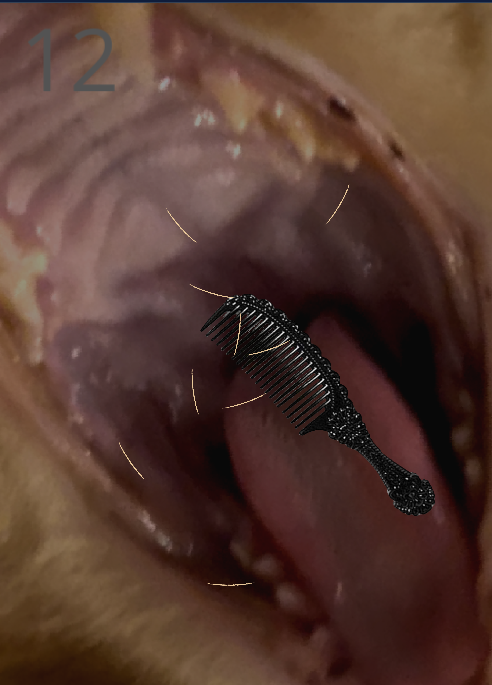 Brush Jjaemu